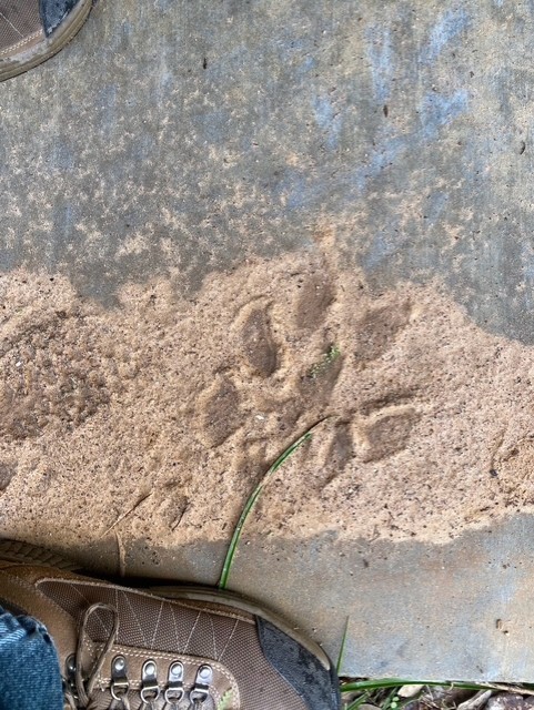 1561 Cr 154 Road Weimar, TX 78962 - Photo 38 of 46 a view of roof with wooden floor