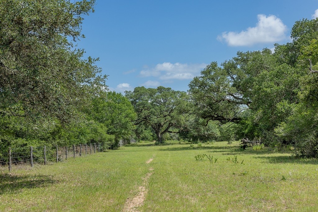 1561 Cr 154 Road Weimar, TX 78962 - Photo 7 of 46 a view of field with green space