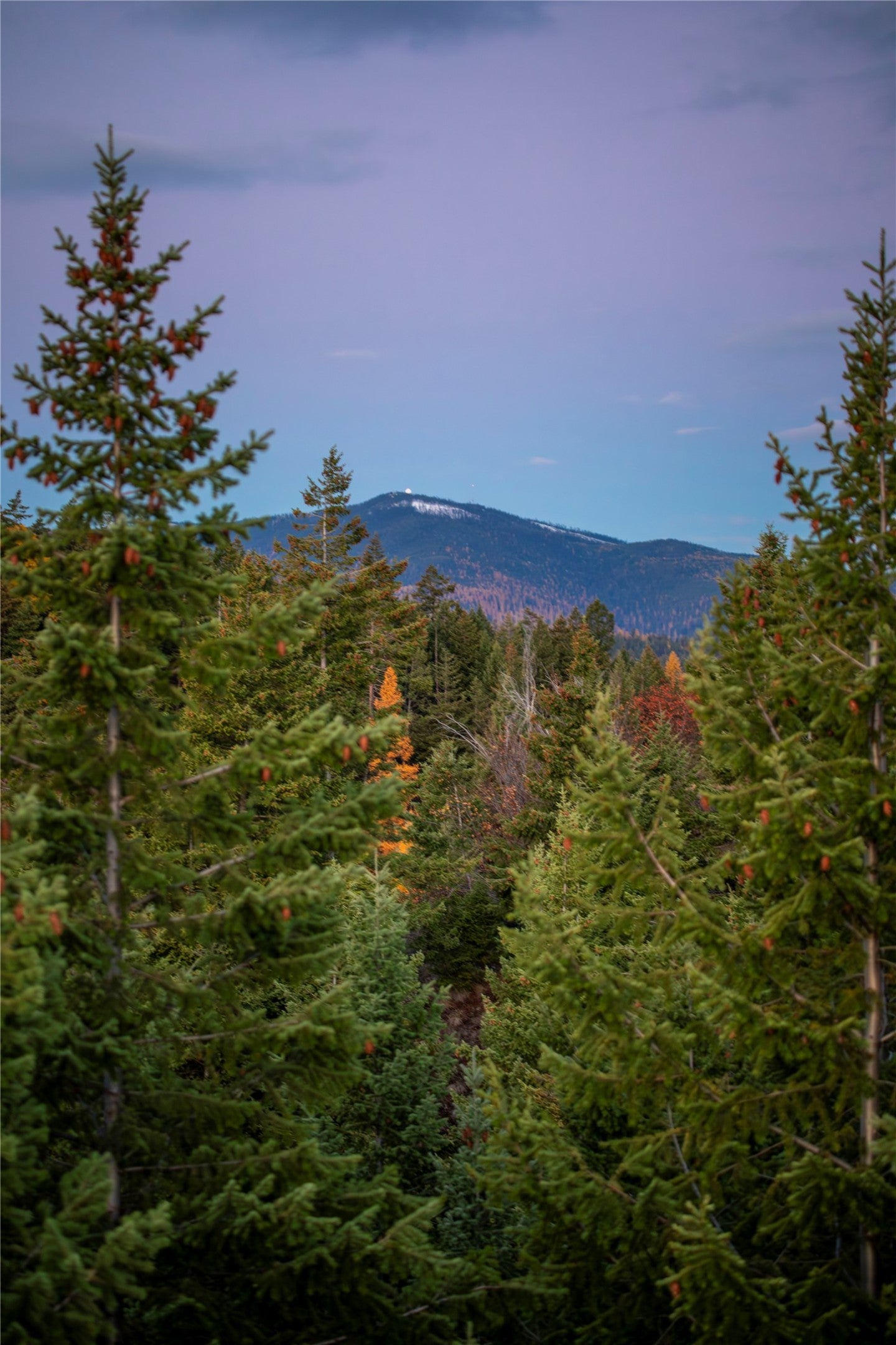 351-367 Ridge Line Drive Lakeside, MT 59922 - Photo 14 of 18 Gallery Image 14