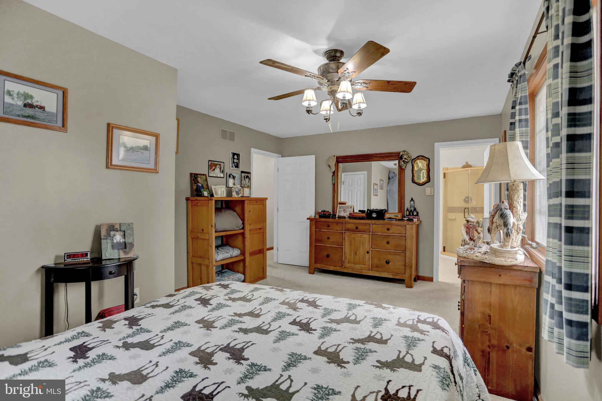 1738 Castleton Road Darlington, MD 21034 - Photo 24 of 48 CEILING FAN