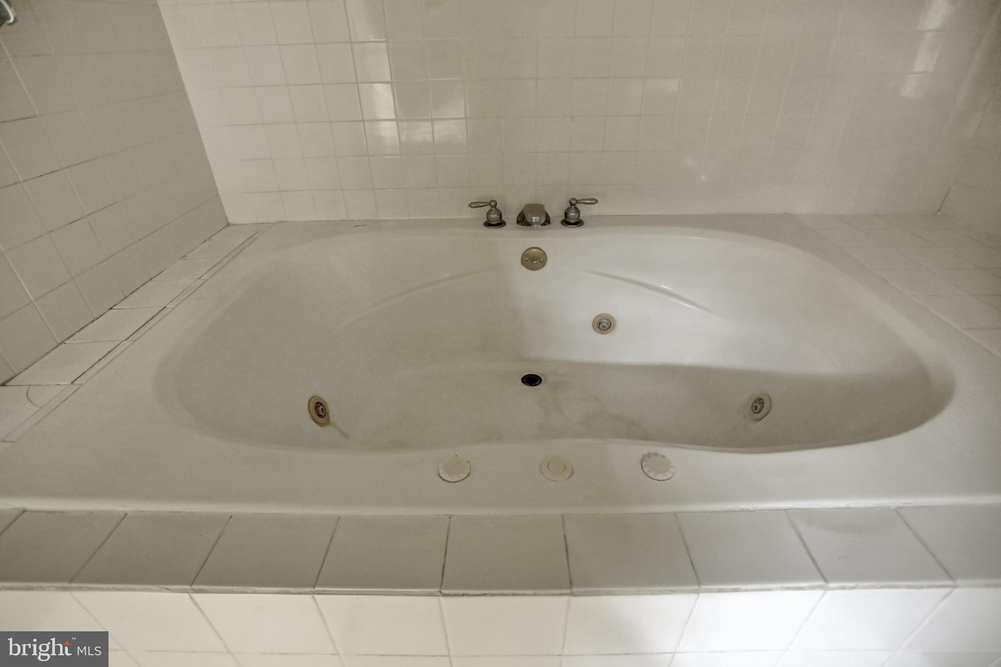 1738 Castleton Road Darlington, MD 21034 - Photo 29 of 48 SJACUZZI