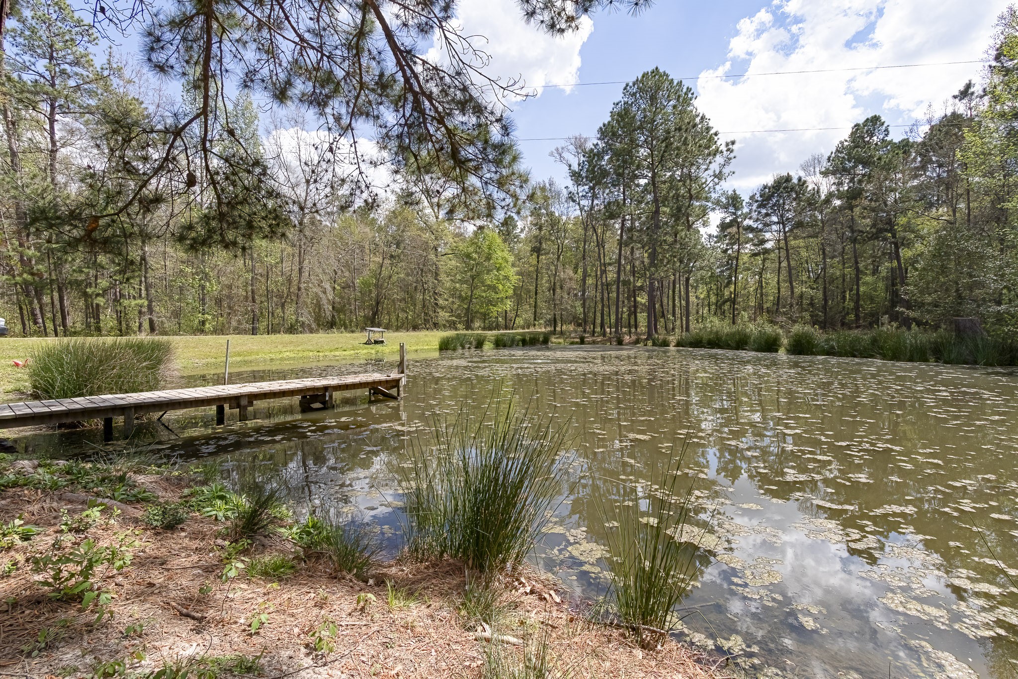188 Pullin Road Corrigan, TX 75939 - Photo 2 of 50 a view of a yard with large trees
