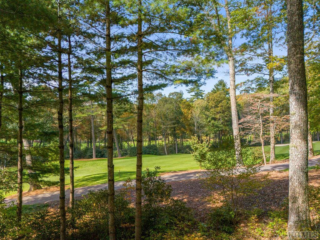 103 Boulderdash Road Cashiers, NC 28717 - Photo 49 of 52 Gallery Image 49