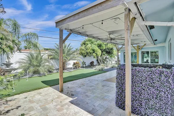 a view of a yard with a palm tree