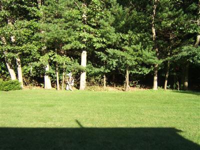 6556 Indian Point Road Montague, MI 49437 - Photo 4 of 20 Additional Photo