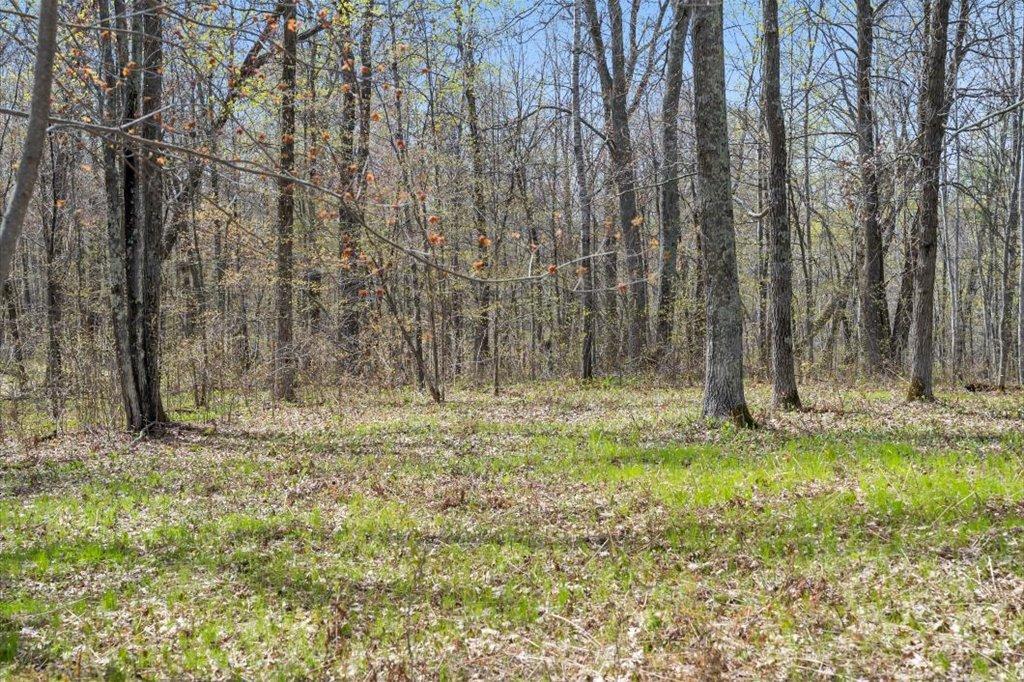 9382 County Road 8 Brainerd, MN 56401 - Photo 79 of 108