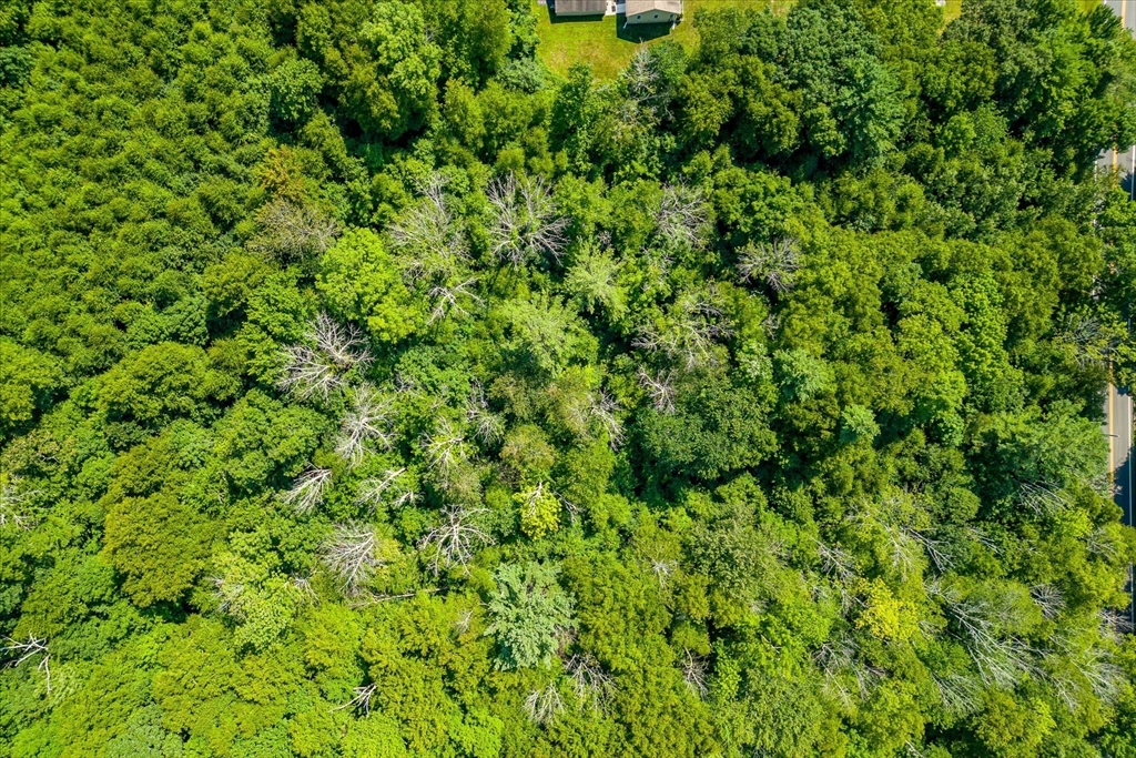 2 E Petersham Road Hardwick, MA 01037 - Photo 6 of 8