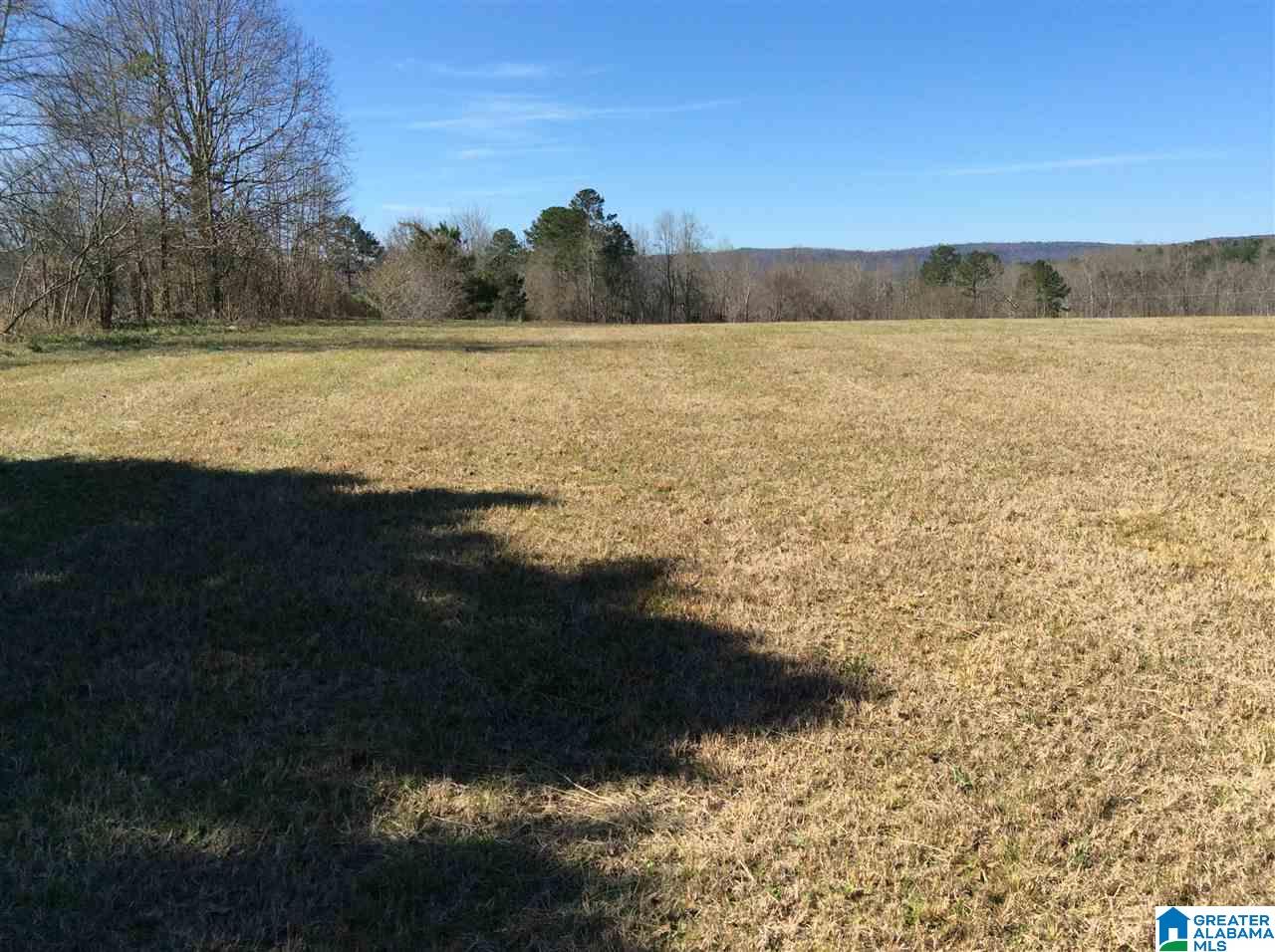 0 Coats Bend Road, Unit 1 Gadsden, AL 35901 - Photo 19 of 20