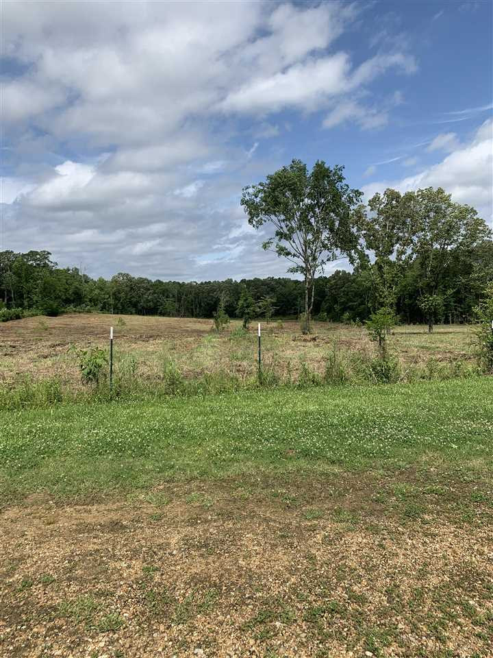 210 Ragan Road Pelahatchie, MS 39145 - Photo 3 of 7 Photo 3