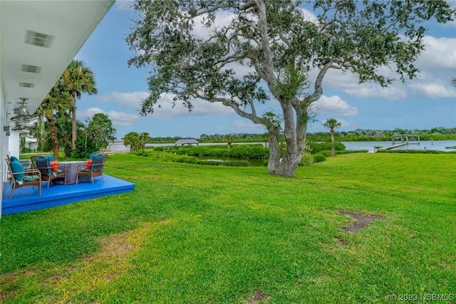 a view of a garden with lawn chairs and a large tree
