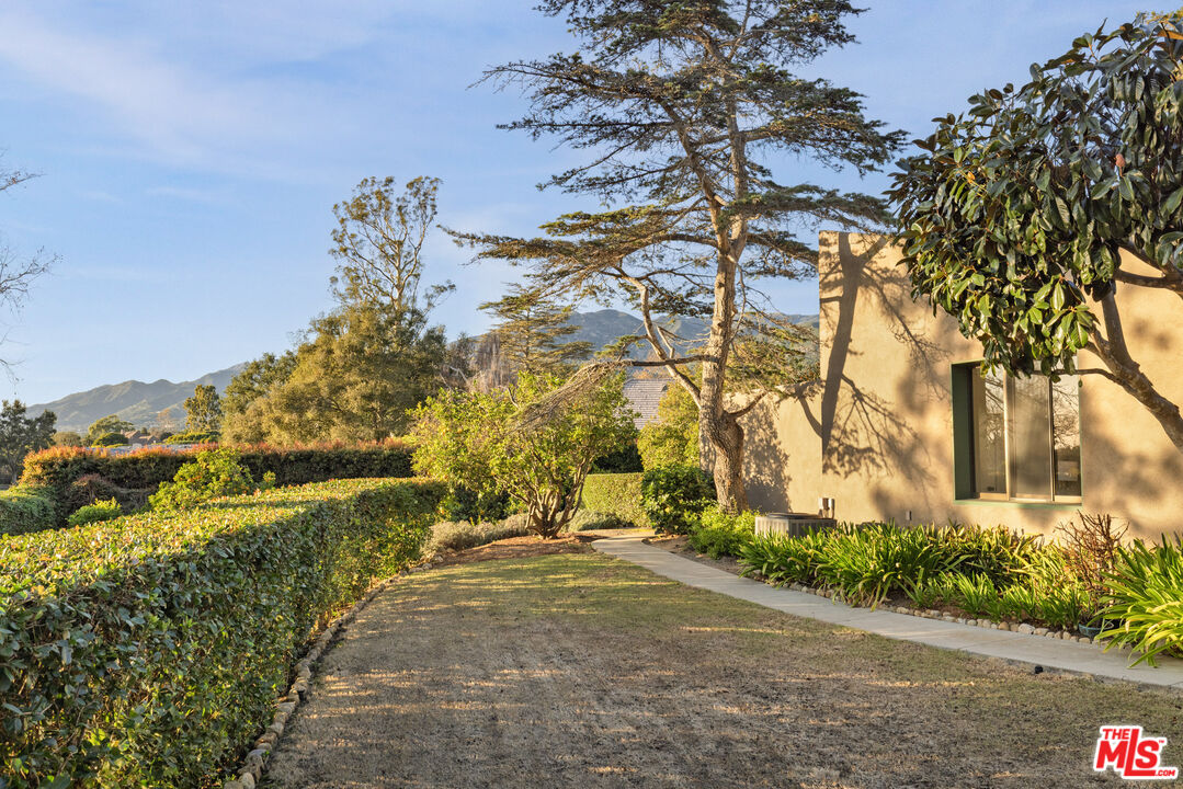 2141 10 Acre Road Santa Barbara, CA 93108 - Photo 19 of 21 a view of a yard with plants and large trees