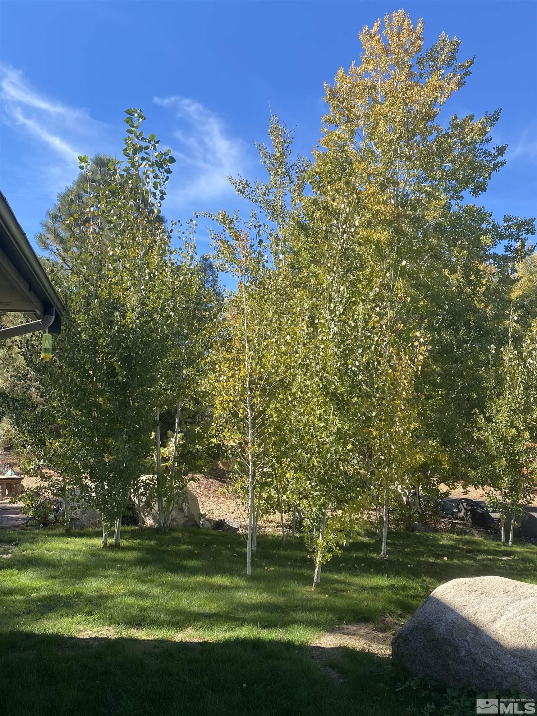 3160 Knight Road Reno, NV 89509 - Photo 29 of 39 a garden with a bench in it