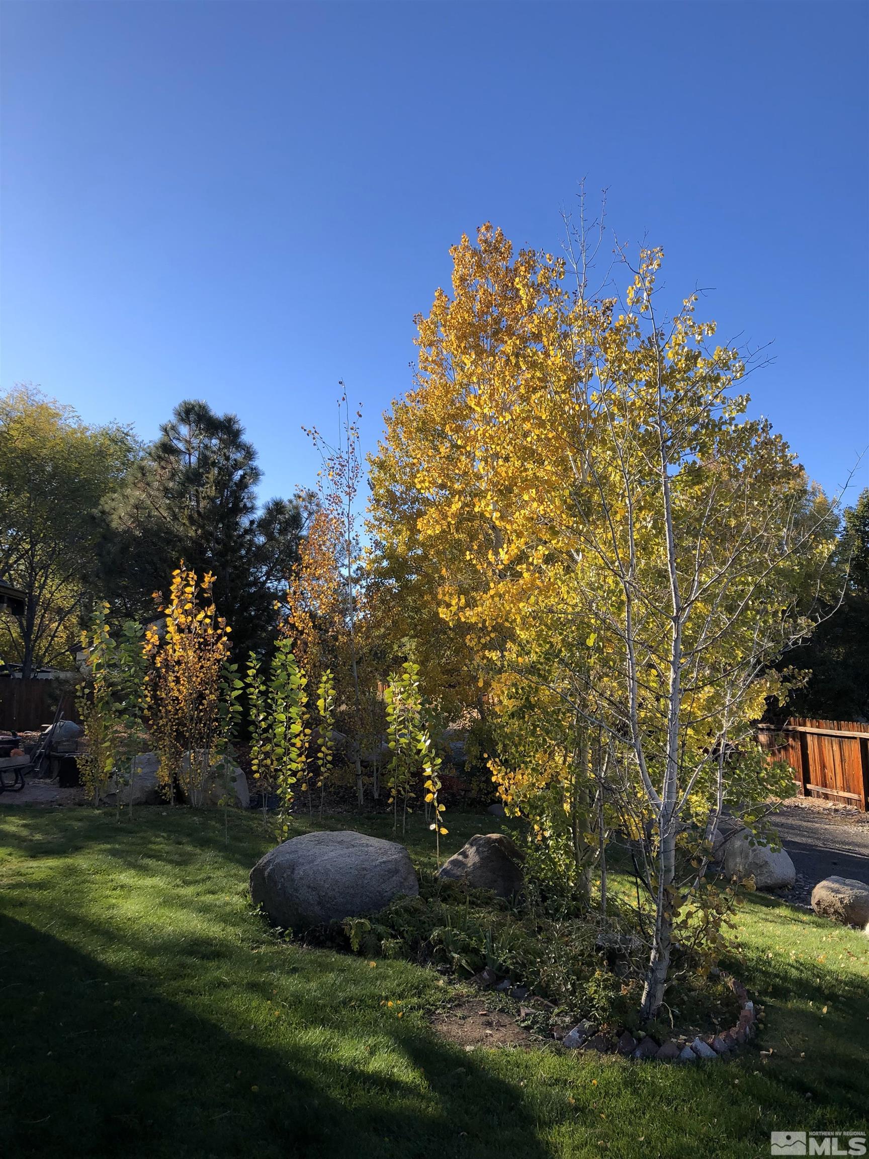 3160 Knight Road Reno, NV 89509 - Photo 30 of 39 a view of a garden