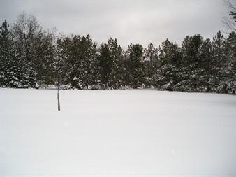 725 Skocelas Road North Manistee, MI 49660 - Photo 5 of 9 Additional Photo
