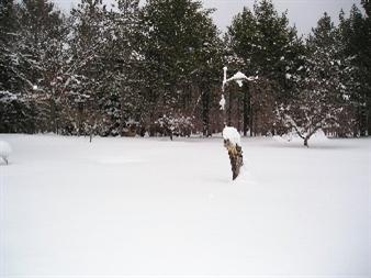 725 Skocelas Road North Manistee, MI 49660 - Photo 8 of 9 Additional Photo
