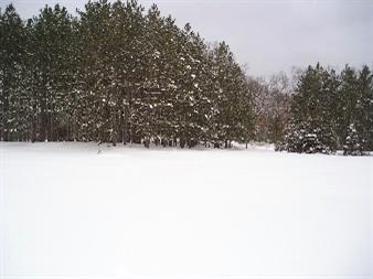 725 Skocelas Road North Manistee, MI 49660 - Photo 9 of 9 Additional Photo