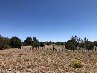 a black and white photo of a book