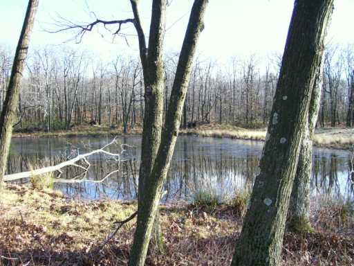 271 Off Parker & Rt Ligonier, PA 15658 - Photo 2 of 8 Other.