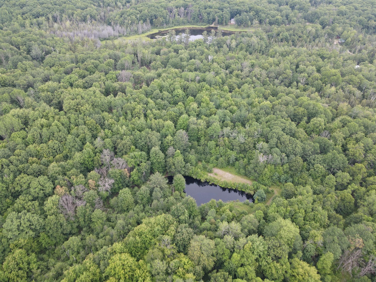 11401 Little George Lake Road Gladwin, MI 48624 - Photo 35 of 98