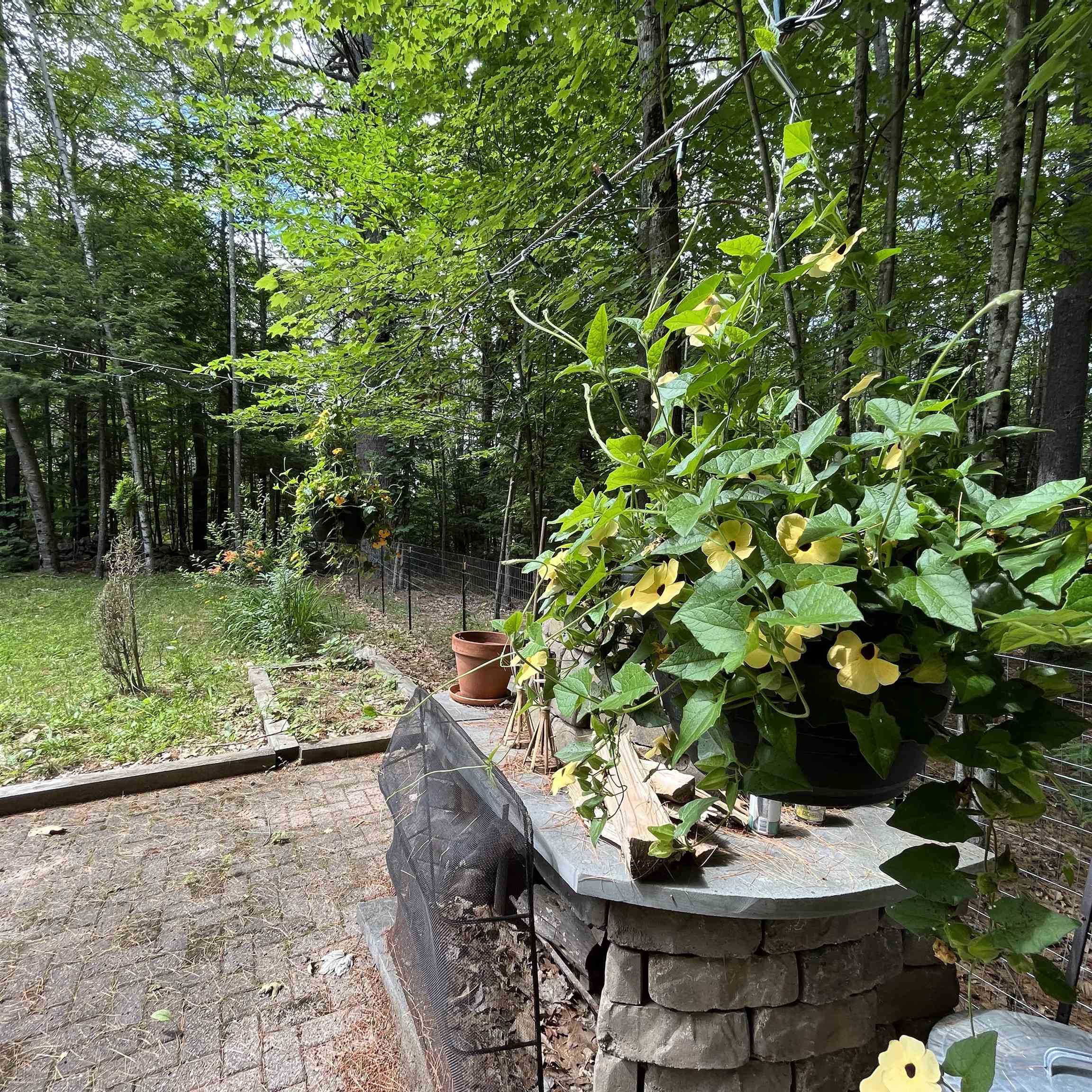 268 Washburn Road Alexandria, NH 03222 - Photo 8 of 40