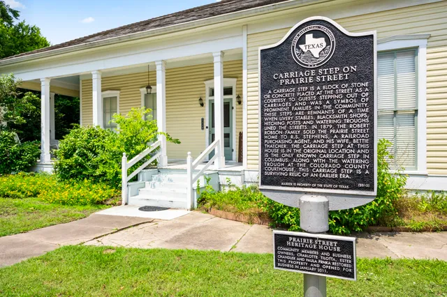 a view of a house with a small yard and a large tree