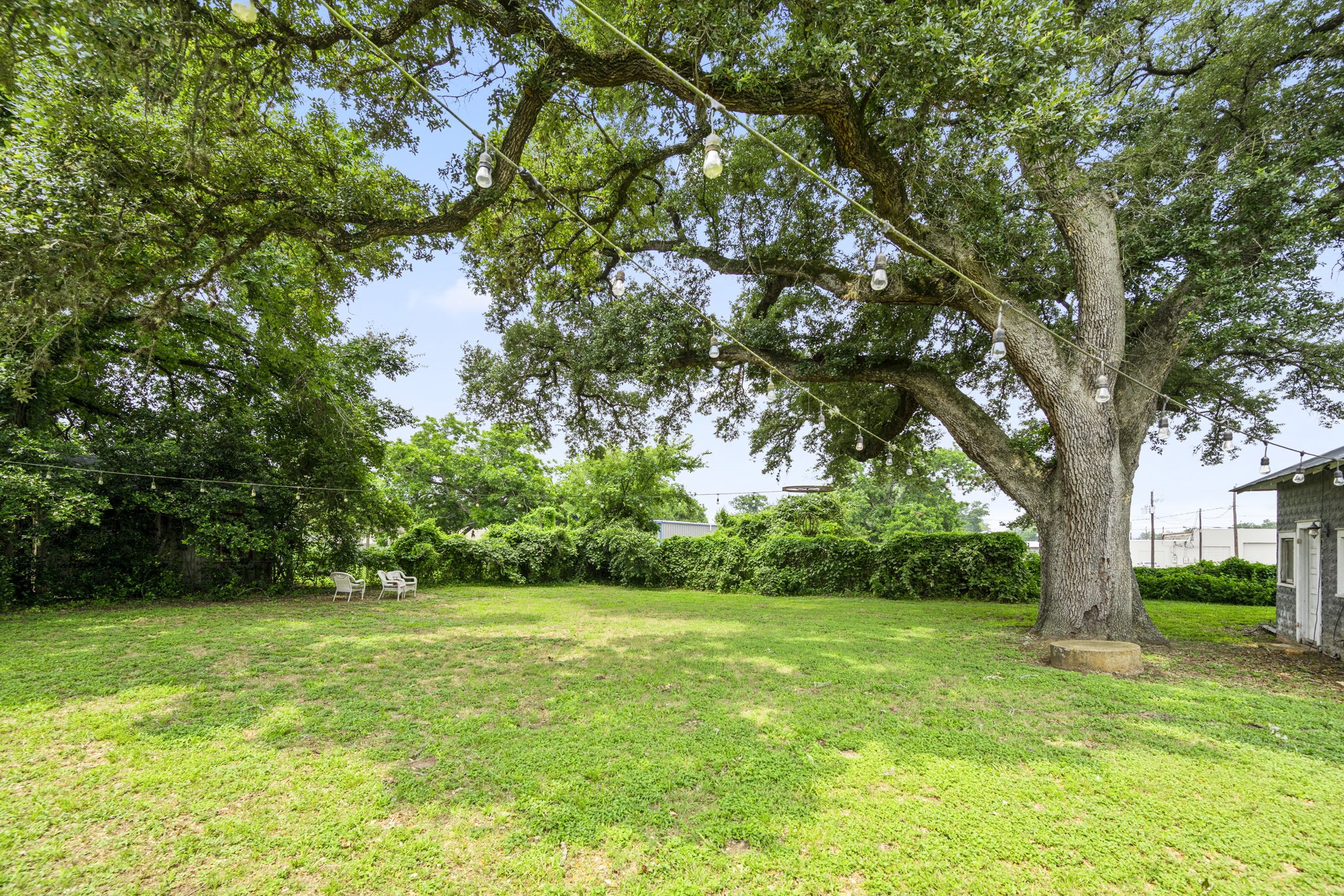 1118 Prairie Street Columbus, TX 78934 - Photo 27 of 34 a view of lush green field