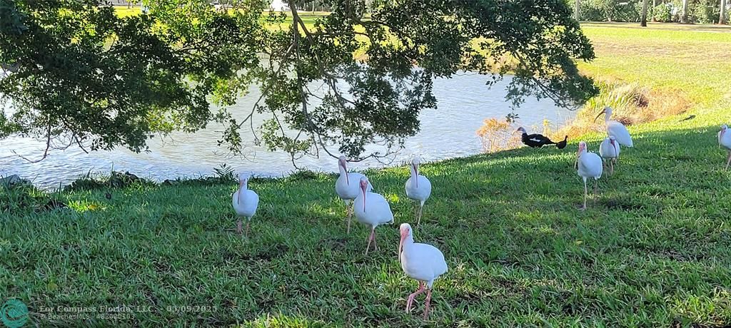 4070 Exeter Boca Raton, FL 33434 - Photo 38 of 59 Area View