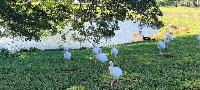 a view of a balcony with wooden floor