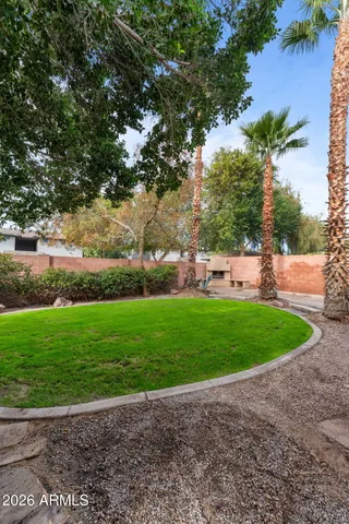 a view of a garden with lawn chairs under large tree