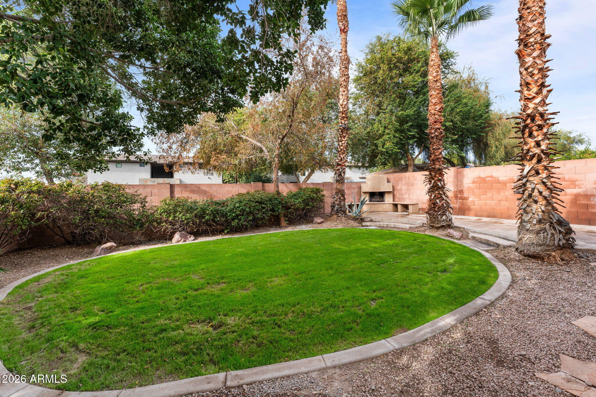 20220 North 9th Street Phoenix, AZ 85024 - Photo 5 of 36 a view of a garden with lawn chairs under large tree
