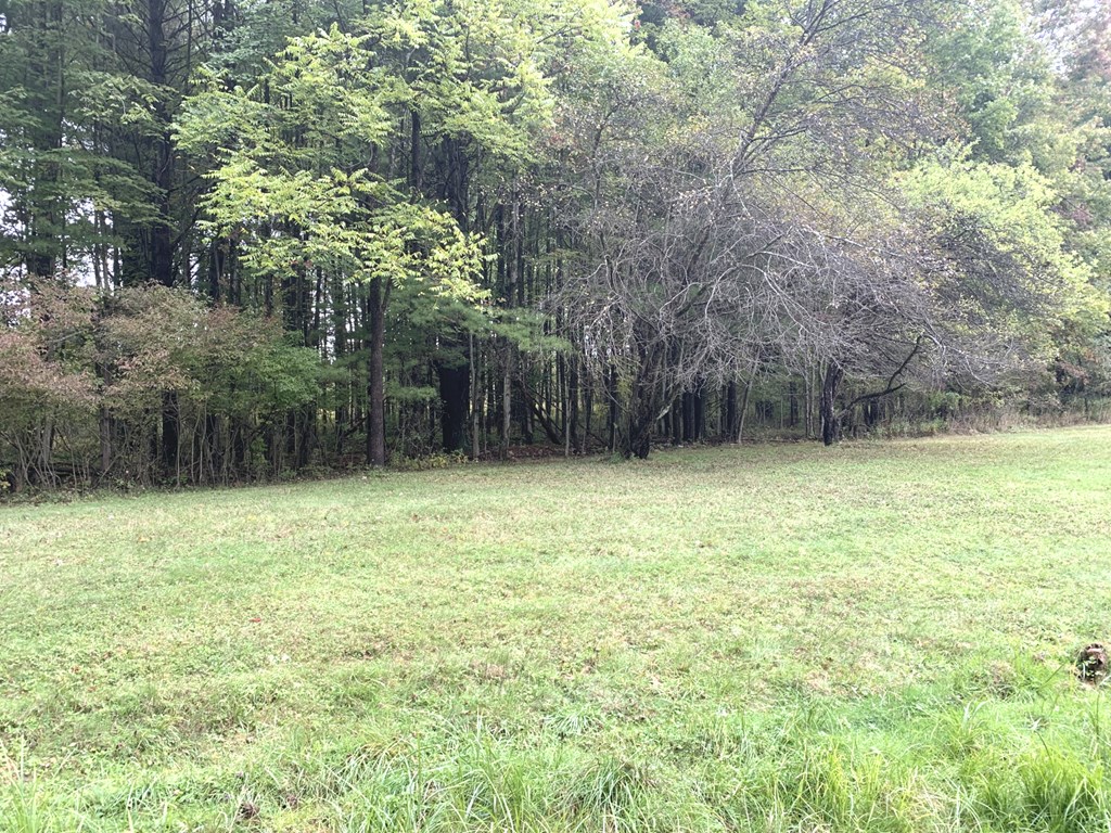 14790 Spring Creek Road Titusville, PA 16354 - Photo 6 of 7
