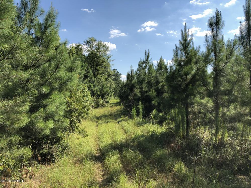 1990 Goodland Road Bamberg, SC 29003 - Photo 13 of 32 13