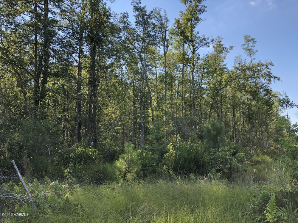 1990 Goodland Road Bamberg, SC 29003 - Photo 20 of 32 20