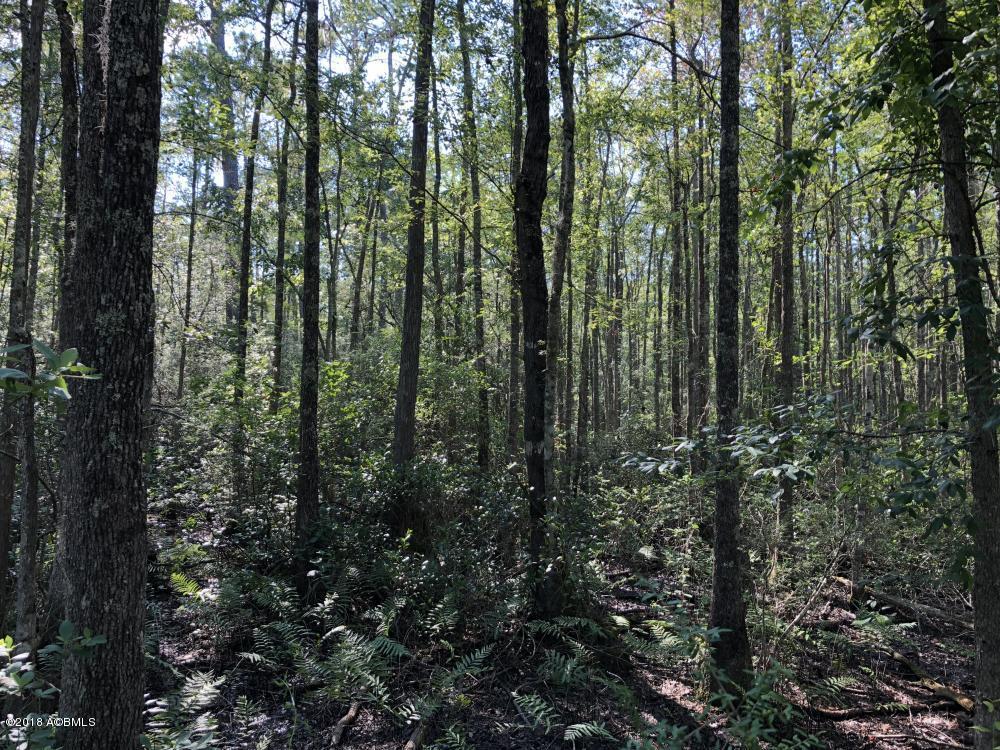 1990 Goodland Road Bamberg, SC 29003 - Photo 21 of 32 21