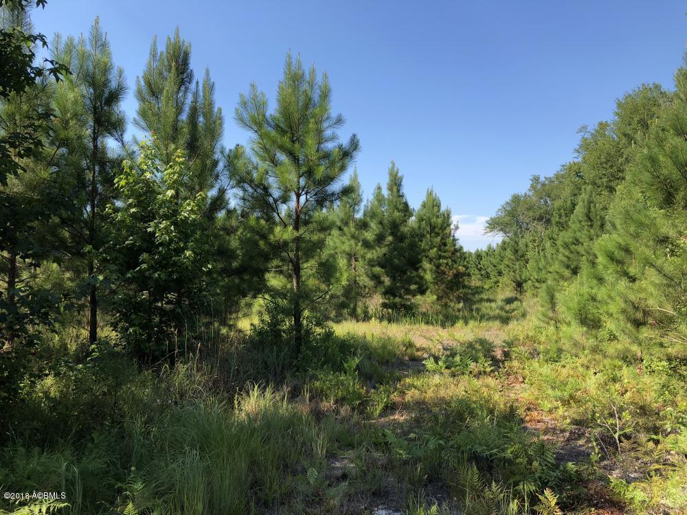 1990 Goodland Road Bamberg, SC 29003 - Photo 24 of 32 24