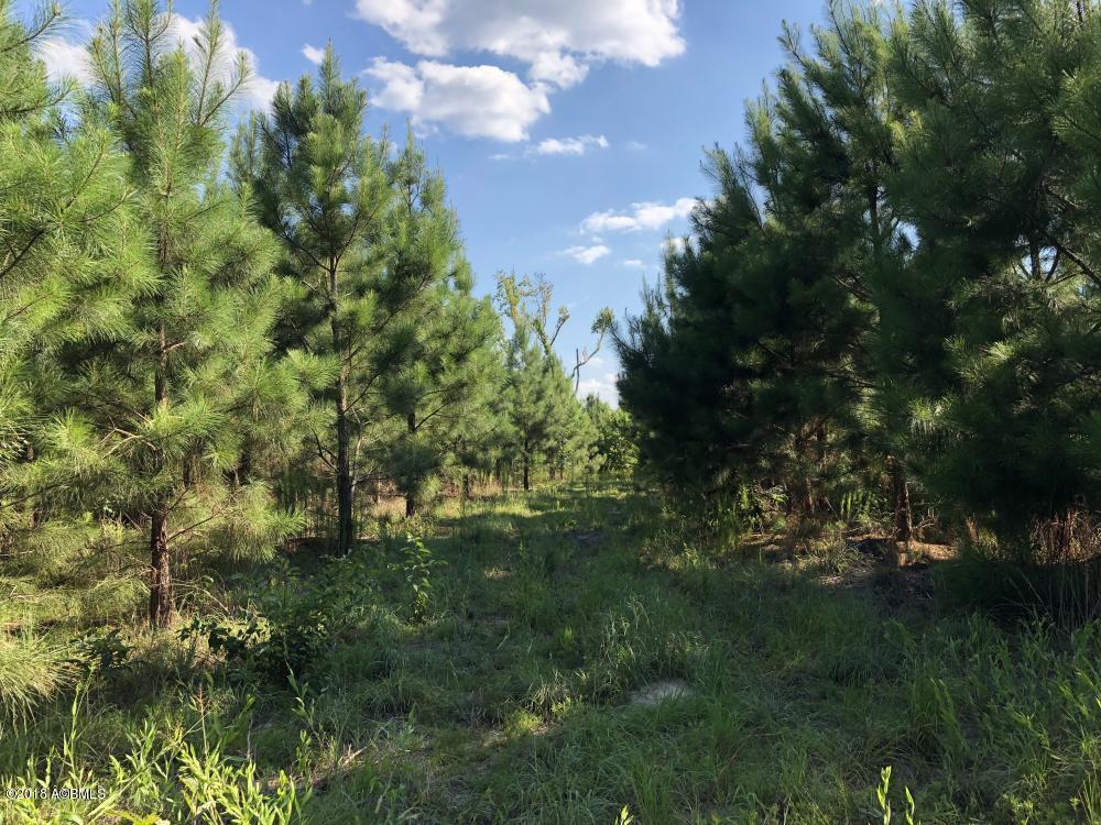 1990 Goodland Road Bamberg, SC 29003 - Photo 25 of 32 25
