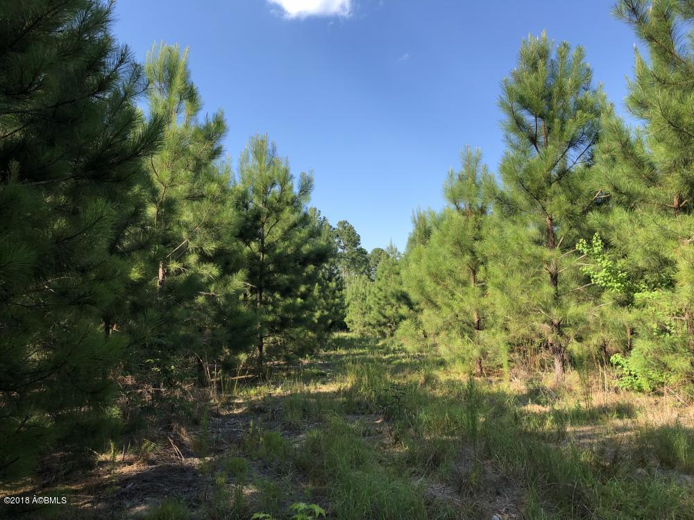 1990 Goodland Road Bamberg, SC 29003 - Photo 26 of 32 26