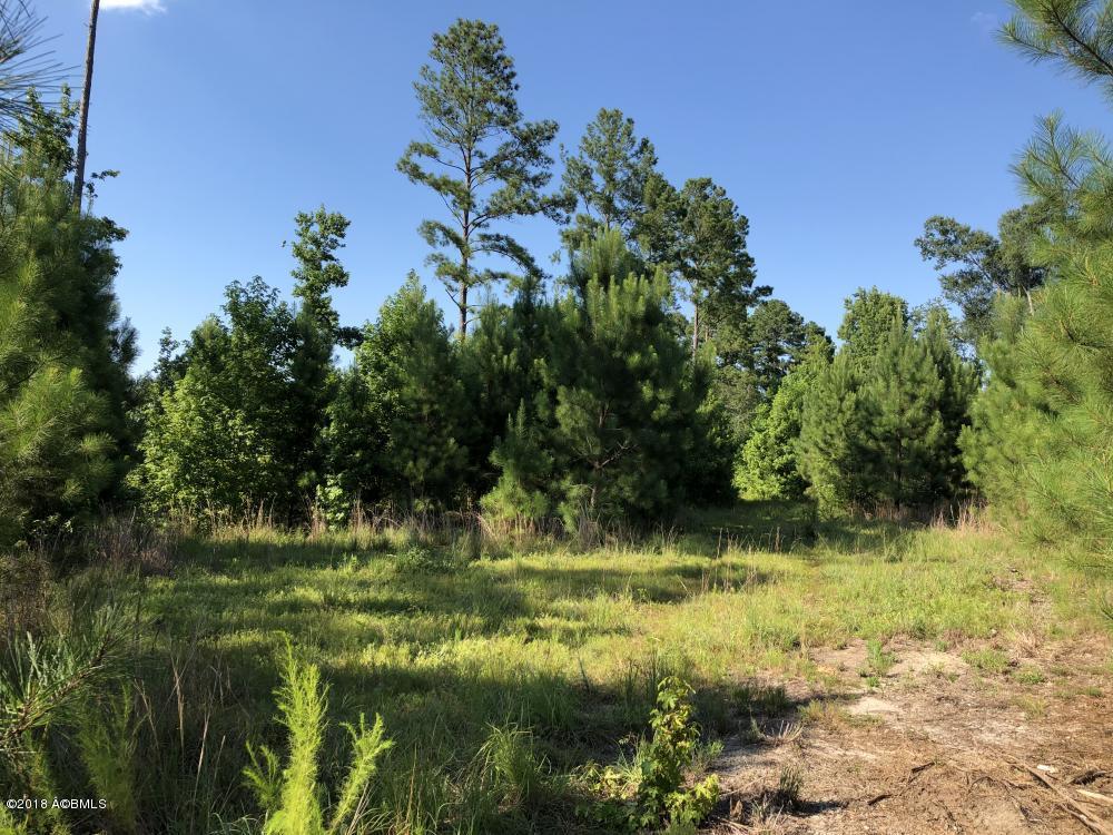1990 Goodland Road Bamberg, SC 29003 - Photo 27 of 32 27