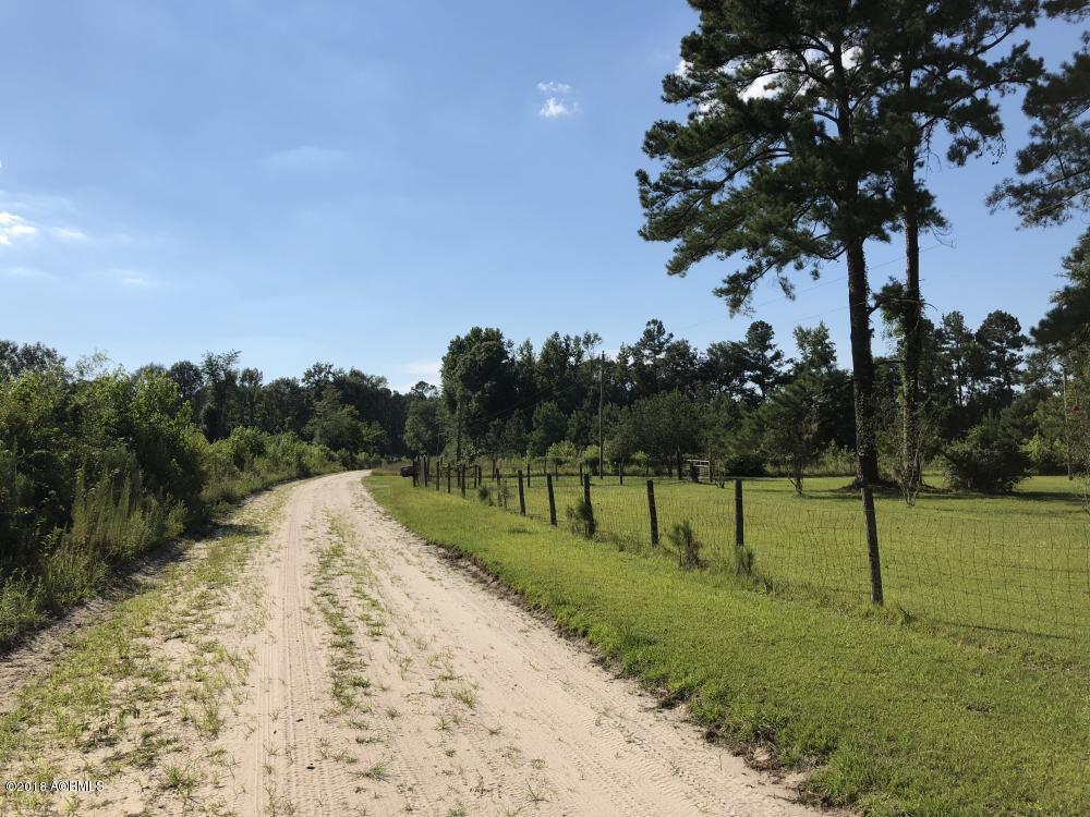 1990 Goodland Road Bamberg, SC 29003 - Photo 31 of 32 31