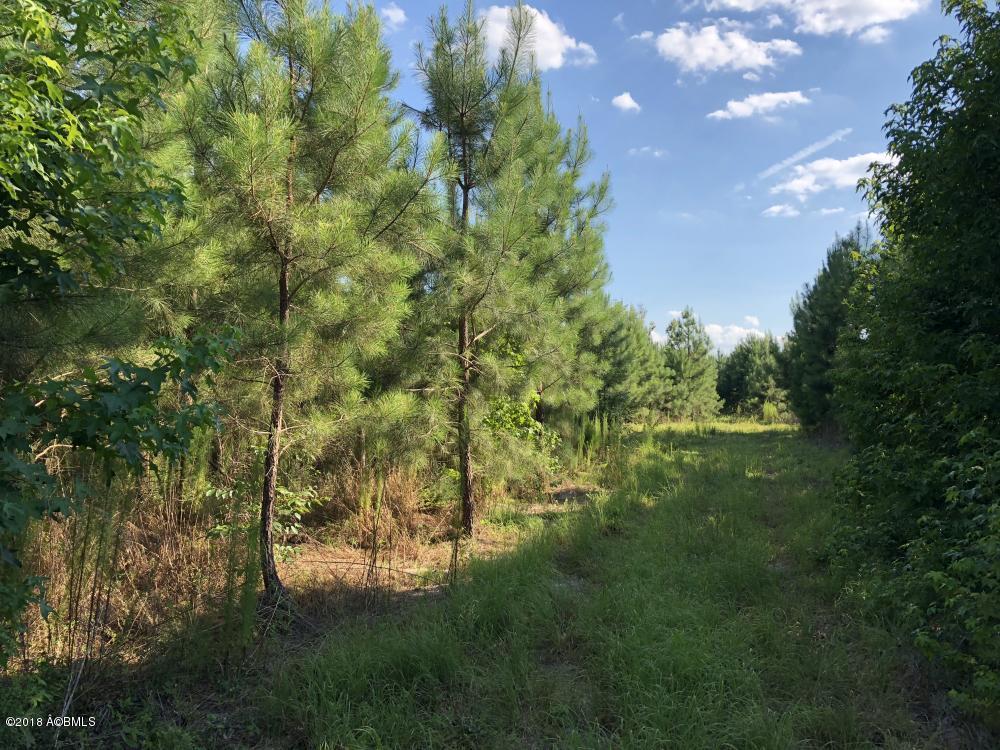 1990 Goodland Road Bamberg, SC 29003 - Photo 10 of 32 10