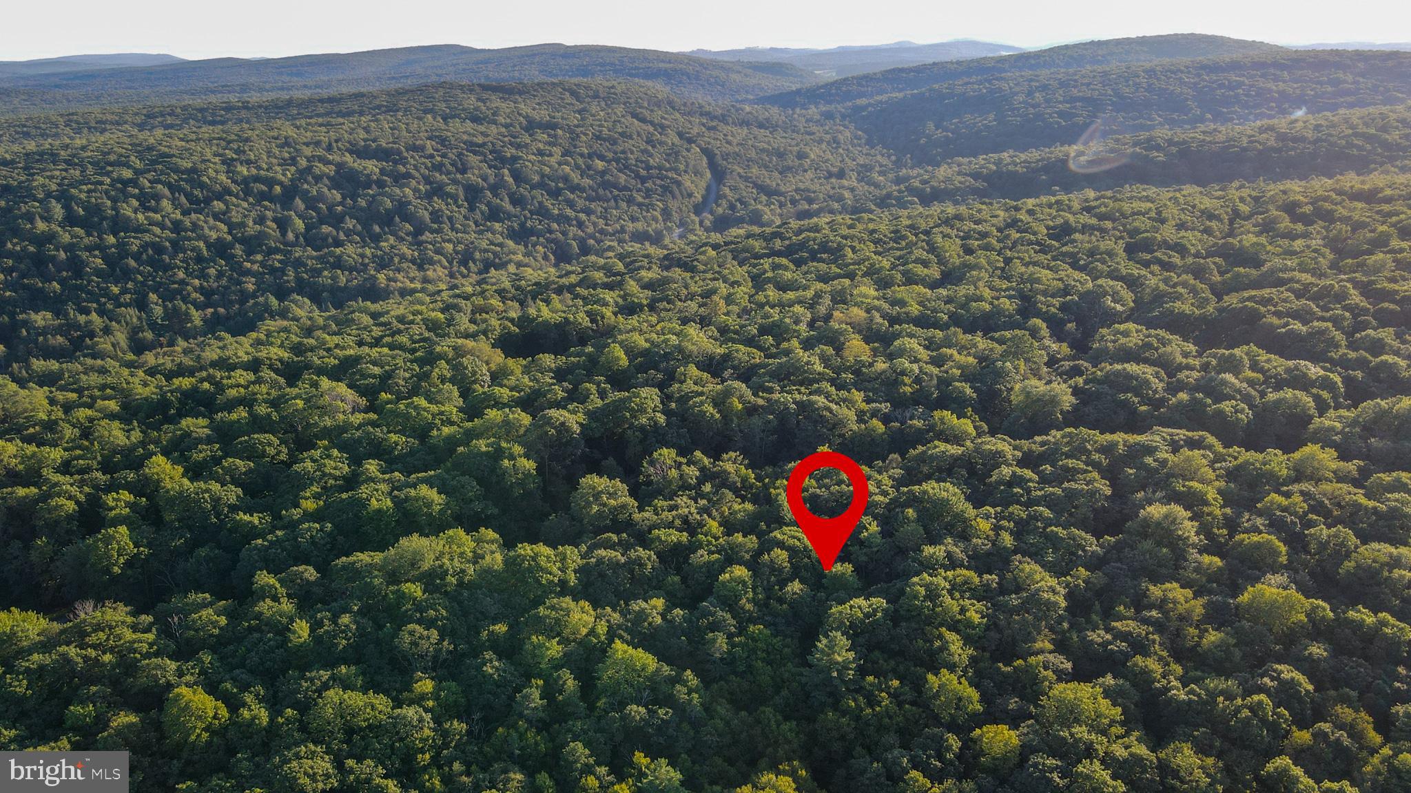 Lot 8 Stool Rock Road Oakland, MD 21550 - Photo 10 of 16 Gallery Image 10