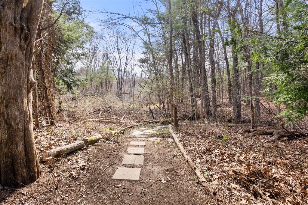 39 Dakin Road Sudbury, MA 01776 - Photo 31 of 34 a view of a yard with trees