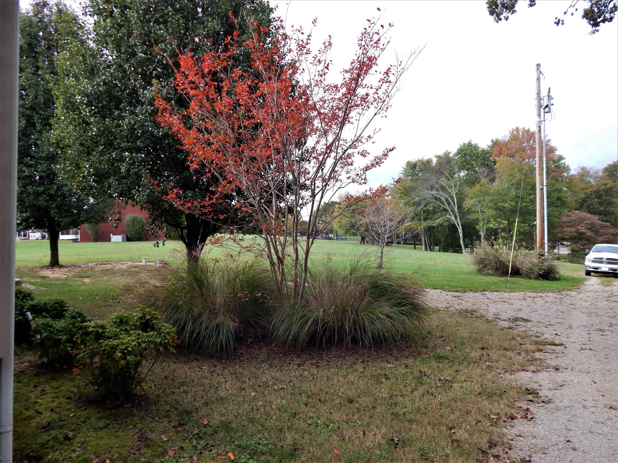 150 Mrs Gower Road Lawrenceburg, TN 38464 - Photo 5 of 32 Gallery Image 5