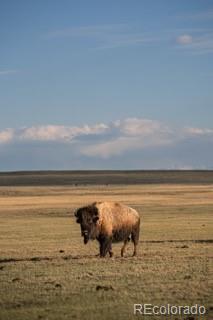 33185-9 9th Hartsel, CO 80449 - Photo 2 of 20