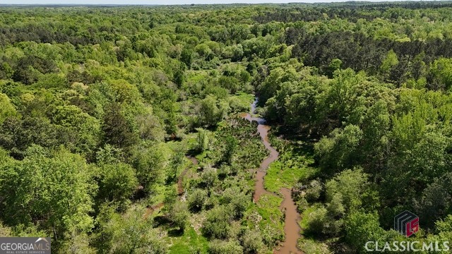 0 Moore Road Elberton, GA 30635 - Photo 14 of 67