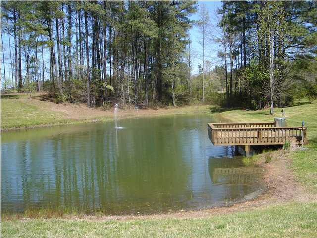 4608 McDonald Road Apison, TN 37302 - Photo 9 of 9 Additional Photo