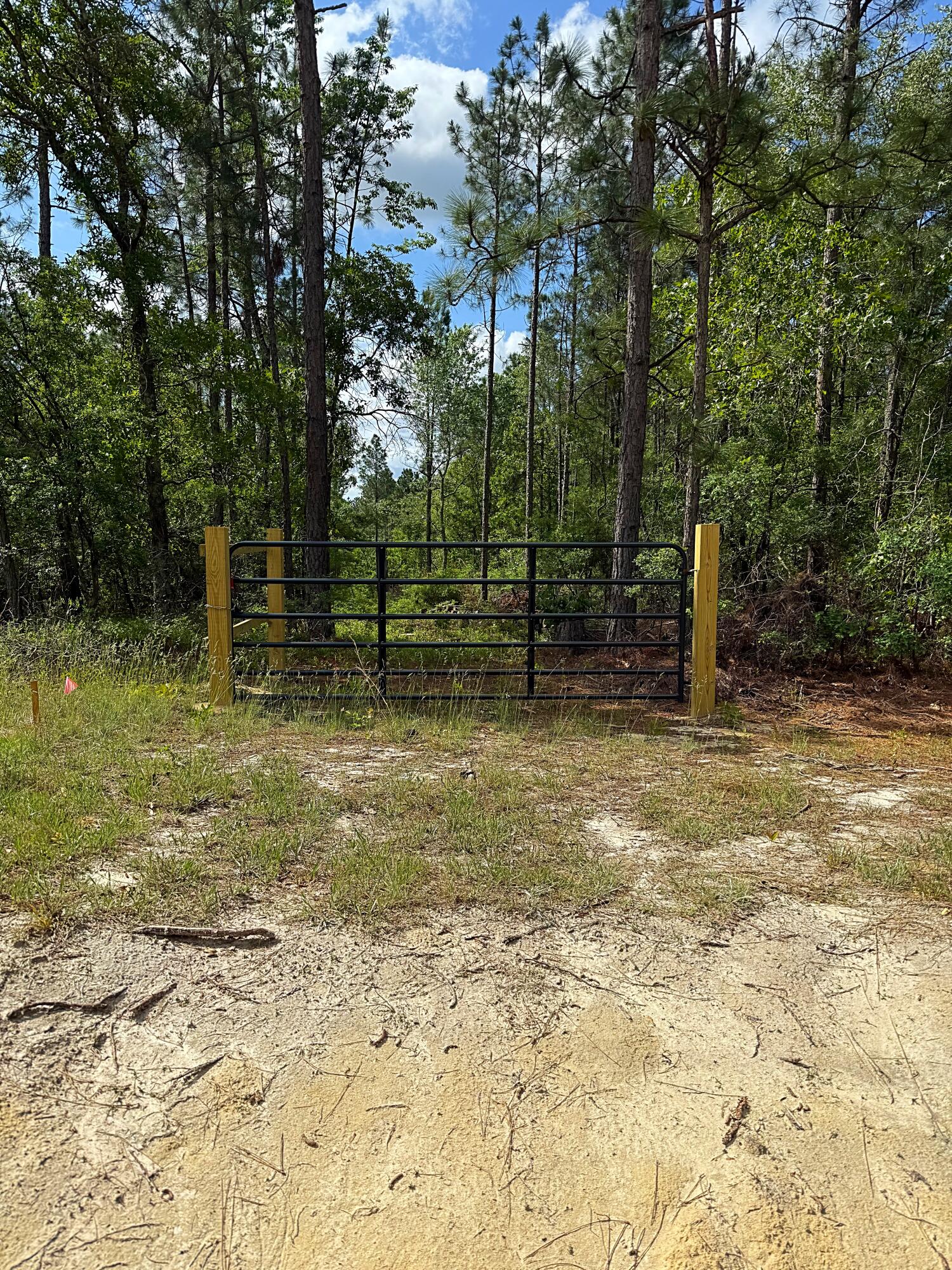 Lot 1 South Sawyer Road Monetta, SC 29105 - Photo 3 of 3