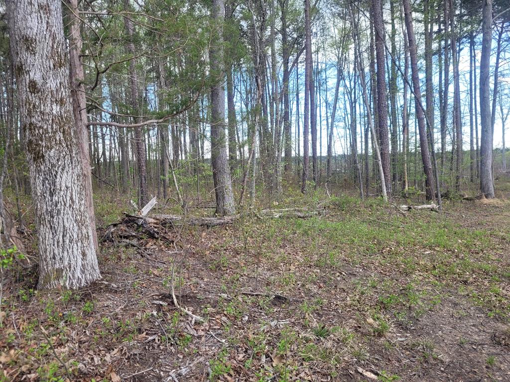 0 Mountain Hall Road Crewe, VA 23930 - Photo 1 of 8 Gallery Image 1