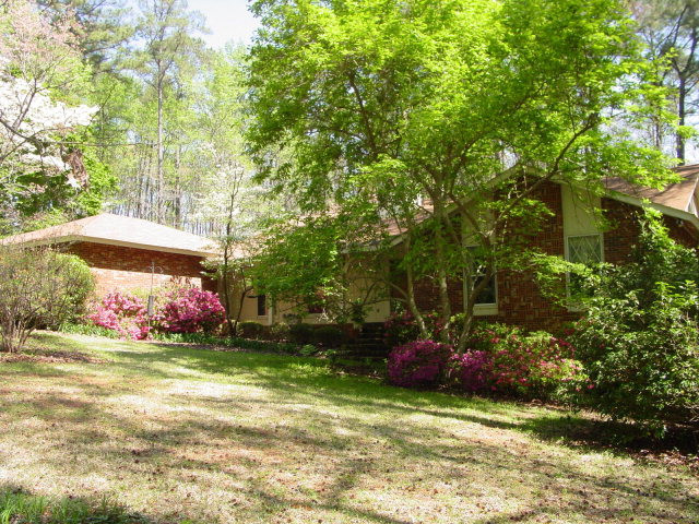 Main View