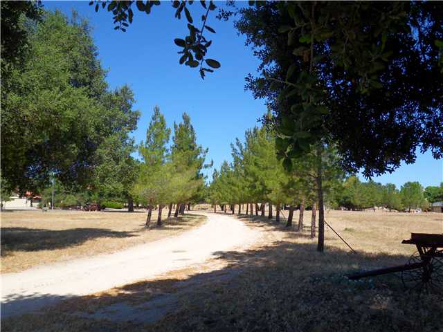 2810 Ribbonwood Road Boulevard, CA 91905 - Photo 22 of 24 Gallery Image 22
